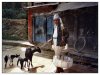9/nepal 15 (Small).jpg